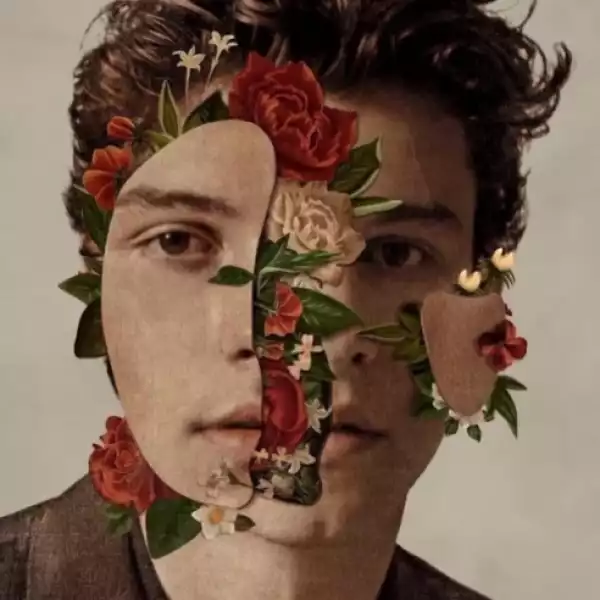 Shawn Mendes - In My Blood